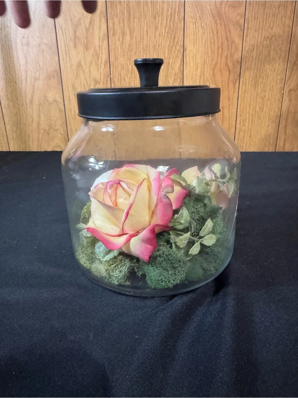 Black Lid Glass Terrarium Jar with Floral and Moss Display
